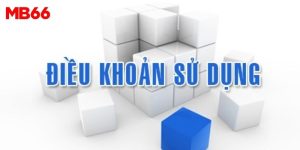 Điều khoản